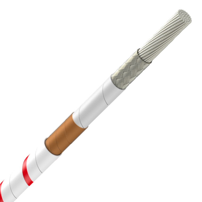 ESW 1250-010-XXX / ESW 1251-010-XXX